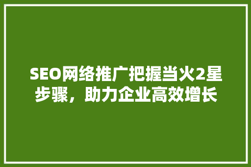 SEO网络推广把握当火2星步骤，助力企业高效增长