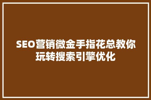 SEO营销微金手指花总教你玩转搜索引擎优化