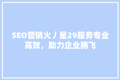 SEO营销火丿星29服务专业高效，助力企业腾飞
