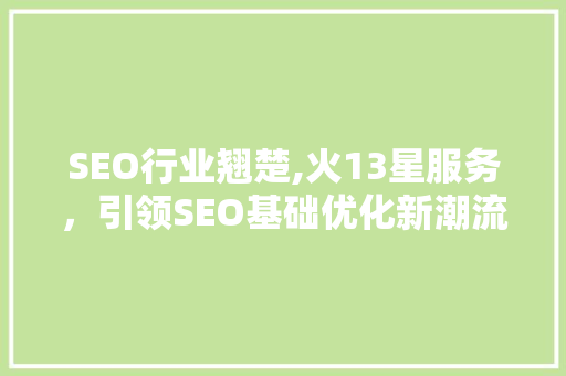 SEO行业翘楚,火13星服务，引领SEO基础优化新潮流