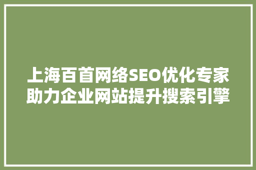 上海百首网络SEO优化专家助力企业网站提升搜索引擎排名