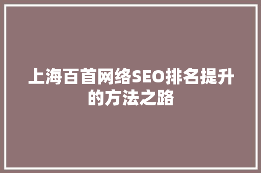 上海百首网络SEO排名提升的方法之路