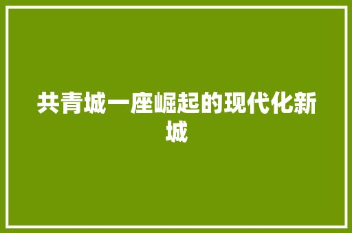 共青城一座崛起的现代化新城