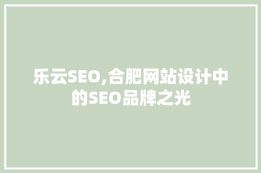 乐云SEO,合肥网站设计中的SEO品牌之光