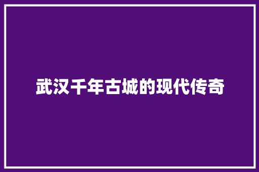 武汉千年古城的现代传奇
