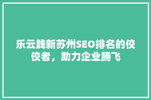 乐云践新苏州SEO排名的佼佼者，助力企业腾飞