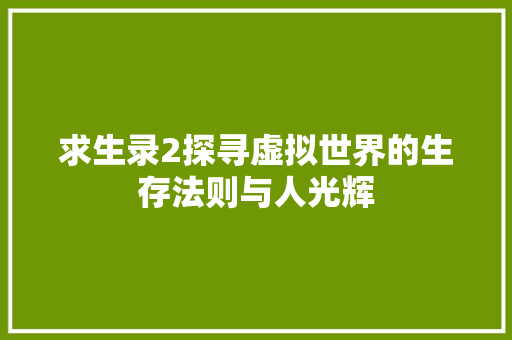 求生录2探寻虚拟世界的生存法则与人光辉