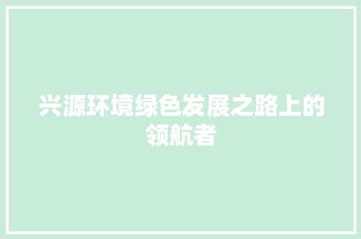 兴源环境绿色发展之路上的领航者