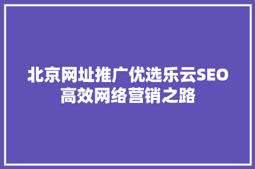 北京网址推广优选乐云SEO高效网络营销之路