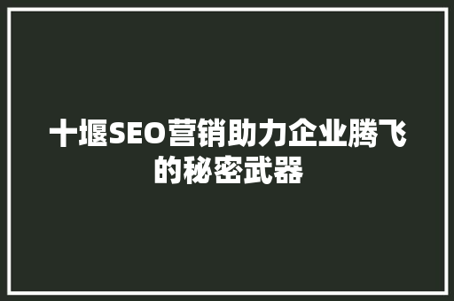 十堰SEO营销助力企业腾飞的秘密武器