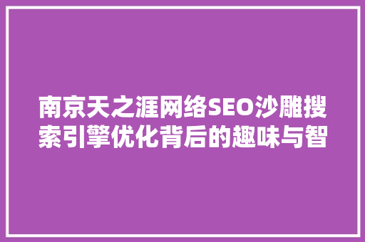 南京天之涯网络SEO沙雕搜索引擎优化背后的趣味与智慧