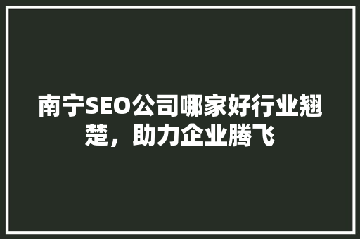 南宁SEO公司哪家好行业翘楚，助力企业腾飞