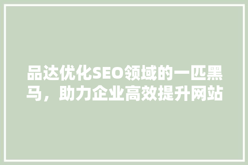 品达优化SEO领域的一匹黑马，助力企业高效提升网站排名
