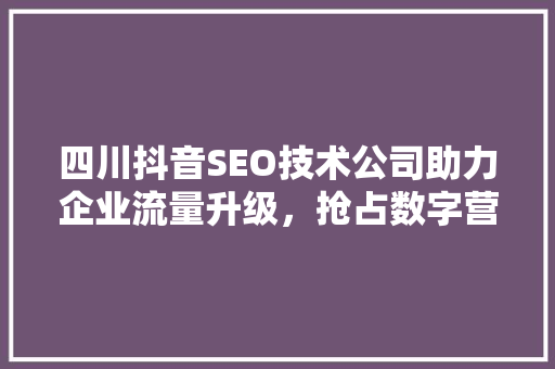 四川抖音SEO技术公司助力企业流量升级，抢占数字营销高地