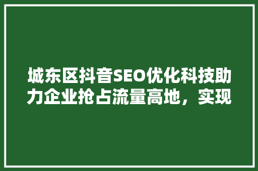 城东区抖音SEO优化科技助力企业抢占流量高地，实现品牌腾飞