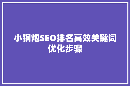 小钢炮SEO排名高效关键词优化步骤