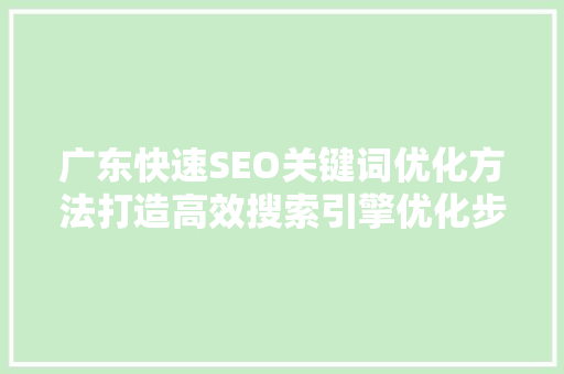 广东快速SEO关键词优化方法打造高效搜索引擎优化步骤