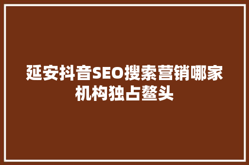 延安抖音SEO搜索营销哪家机构独占鳌头