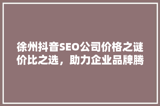 徐州抖音SEO公司价格之谜价比之选，助力企业品牌腾飞