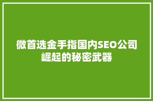 微首选金手指国内SEO公司崛起的秘密武器