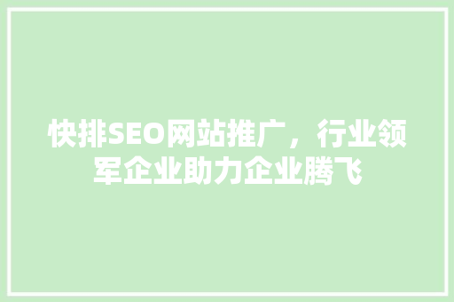 快排SEO网站推广，行业领军企业助力企业腾飞