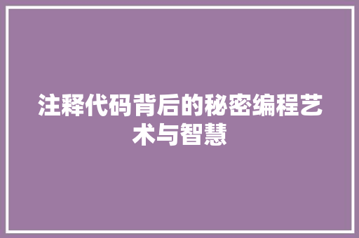 注释代码背后的秘密编程艺术与智慧