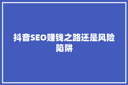 抖音SEO赚钱之路还是风险陷阱
