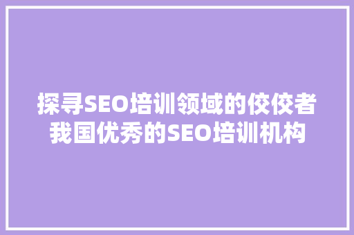 探寻SEO培训领域的佼佼者我国优秀的SEO培训机构