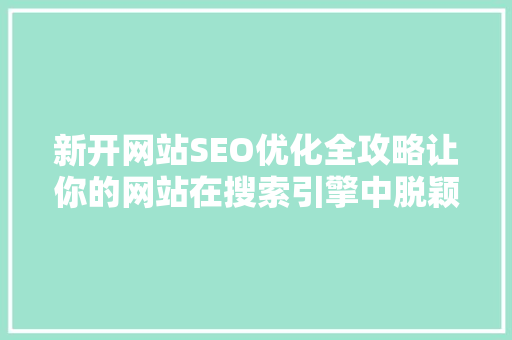新开网站SEO优化全攻略让你的网站在搜索引擎中脱颖而出