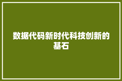 数据代码新时代科技创新的基石