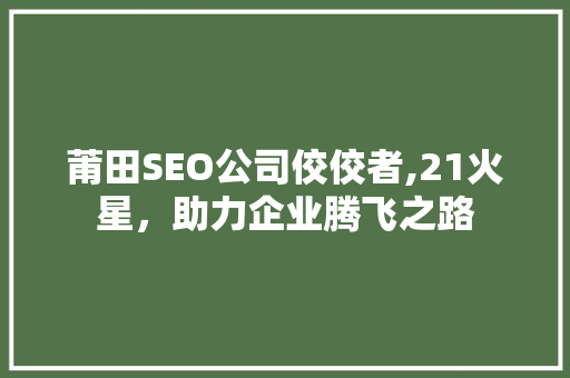 莆田SEO公司佼佼者,21火星，助力企业腾飞之路