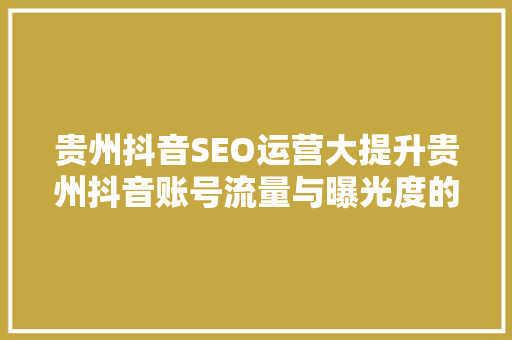 贵州抖音SEO运营大提升贵州抖音账号流量与曝光度的秘密武器
