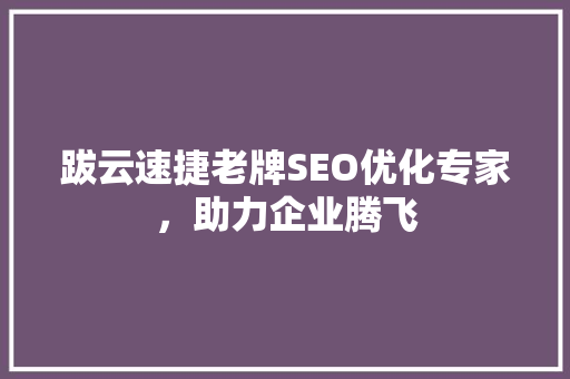 跋云速捷老牌SEO优化专家，助力企业腾飞