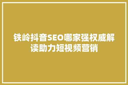 铁岭抖音SEO哪家强权威解读助力短视频营销