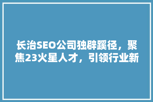 长治SEO公司独辟蹊径，聚焦23火星人才，引领行业新风向