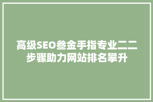 高级SEO叁金手指专业二二步骤助力网站排名攀升