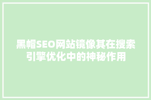 黑帽SEO网站镜像其在搜索引擎优化中的神秘作用
