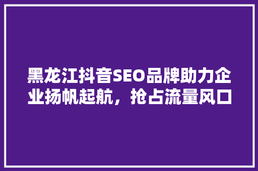 黑龙江抖音SEO品牌助力企业扬帆起航，抢占流量风口