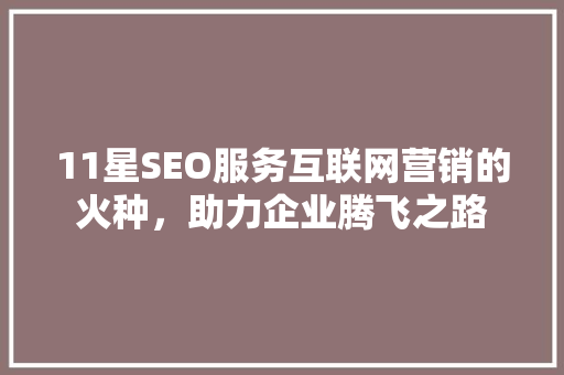 11星SEO服务互联网营销的火种，助力企业腾飞之路