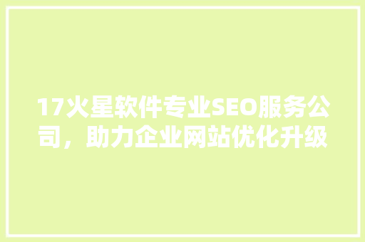 17火星软件专业SEO服务公司，助力企业网站优化升级