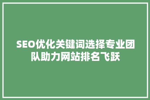 SEO优化关键词选择专业团队助力网站排名飞跃