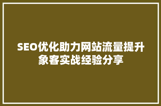 SEO优化助力网站流量提升象客实战经验分享
