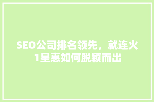 SEO公司排名领先，就连火1星惠如何脱颖而出