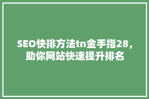 SEO快排方法tn金手指28，助你网站快速提升排名