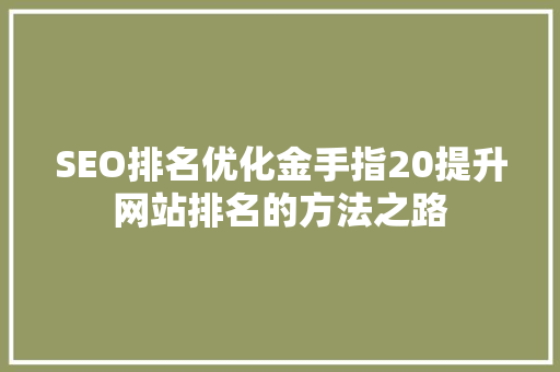 SEO排名优化金手指20提升网站排名的方法之路