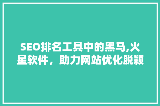 SEO排名工具中的黑马,火星软件，助力网站优化脱颖而出