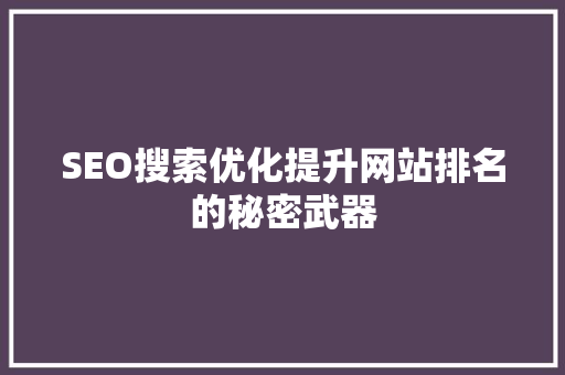 SEO搜索优化提升网站排名的秘密武器