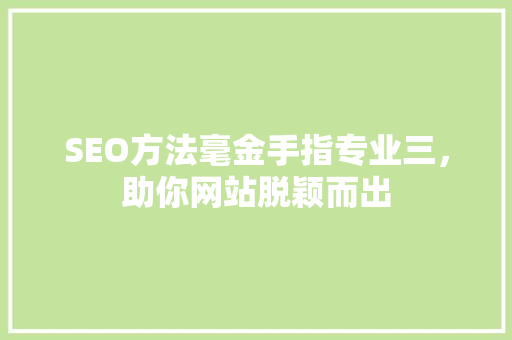 SEO方法毫金手指专业三，助你网站脱颖而出