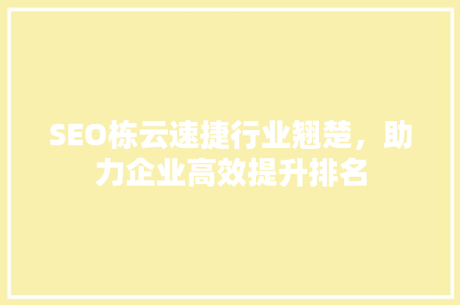 SEO栋云速捷行业翘楚，助力企业高效提升排名