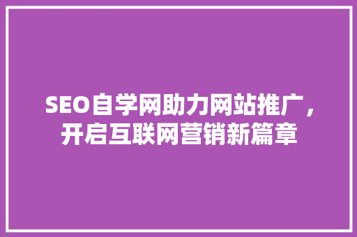 SEO自学网助力网站推广，开启互联网营销新篇章